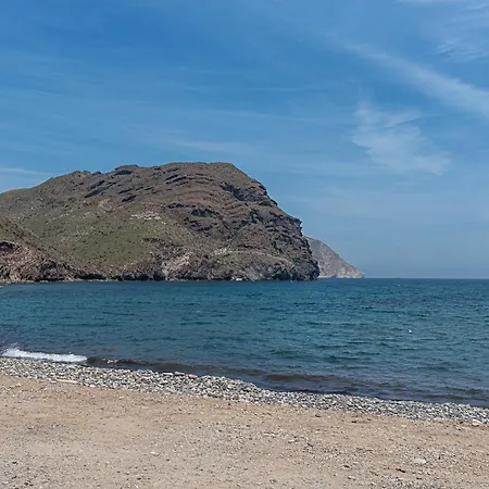 Coral Del Cabo *
