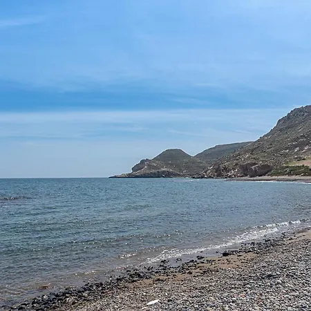 Coral Del Cabo *