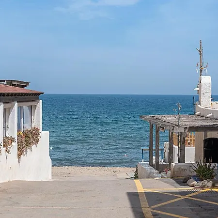 Coral Del Cabo