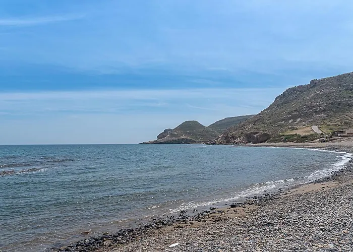 Coral Del Cabo *